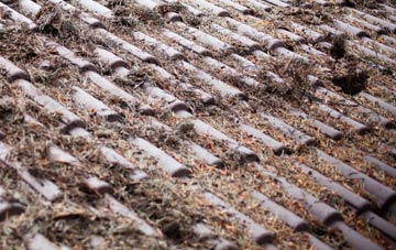 Berryhillock roof cleaning companies