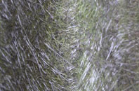 Berryhillock fibreglass roof work